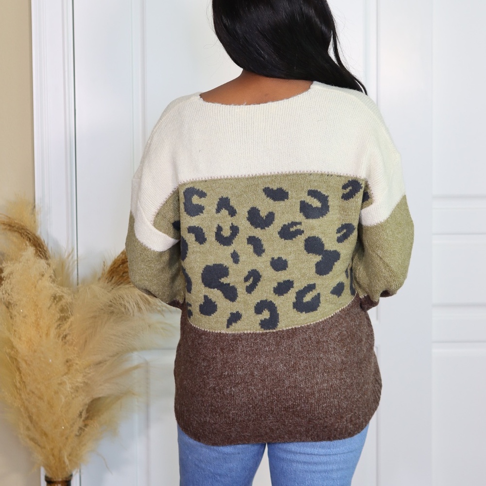 ANIMAL PRINT WITH COLOR BLOCKS SWEATER - Picture 3 of 9